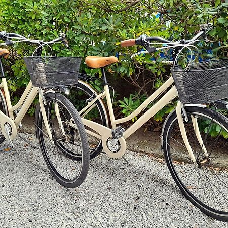 Apt Luminoso, Spazioso Con Aria Condiz E Bici Apartamento Viareggio Exterior foto