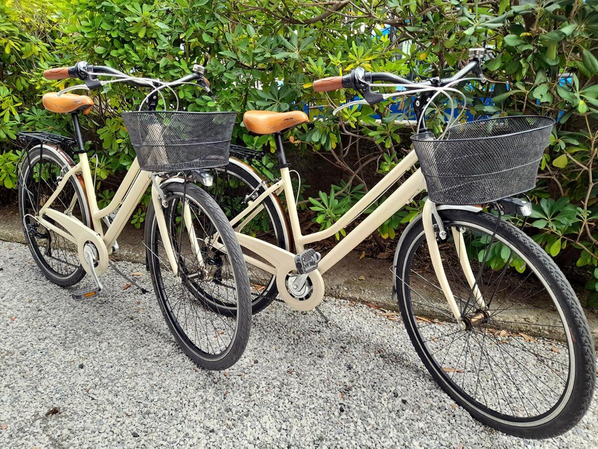 Apt Luminoso, Spazioso Con Aria Condiz E Bici Apartamento Viareggio Exterior foto